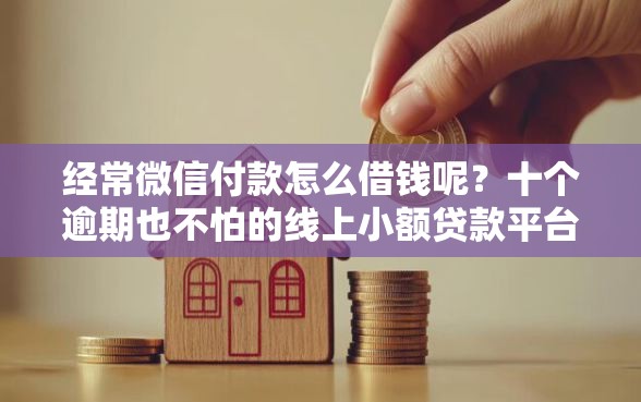 经常微信付款怎么借钱呢？十个逾期也不怕的线上小额贷款平台