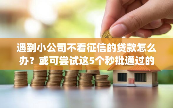 遇到小公司不看征信的贷款怎么办？或可尝试这5个秒批通过的网贷app