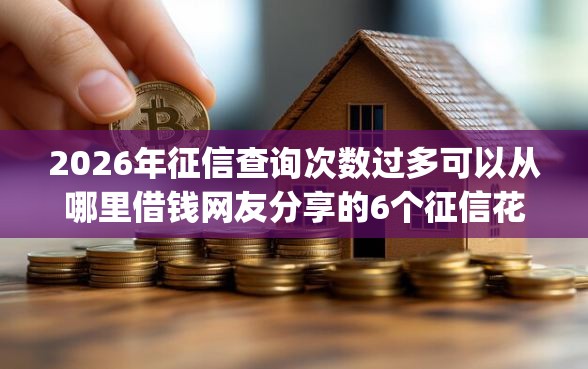 2026年征信查询次数过多可以从哪里借钱网友分享的6个征信花了能网贷的app我觉得不错！