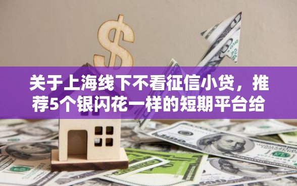 关于上海线下不看征信小贷，推荐5个银闪花一样的短期平台给你