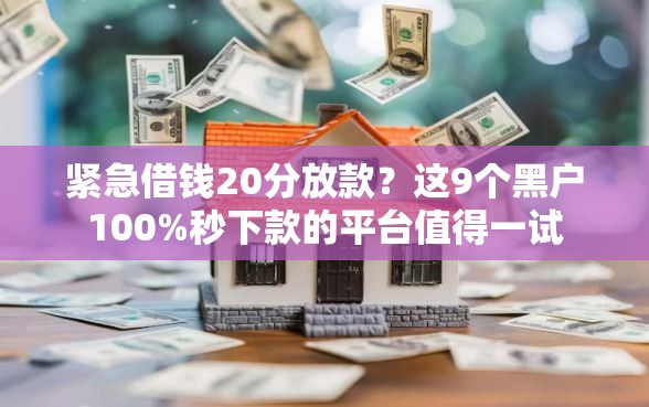 紧急借钱20分放款？这9个黑户100%秒下款的平台值得一试