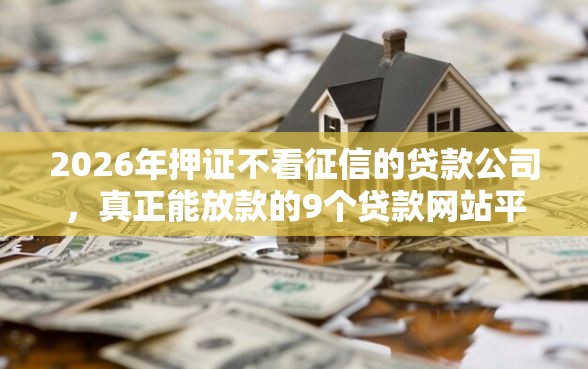 2026年押证不看征信的贷款公司,真正能放款的9个贷款网站平台推荐 2026年押证不看征信的贷款公司,真正能放款的9个贷款网站平台推荐