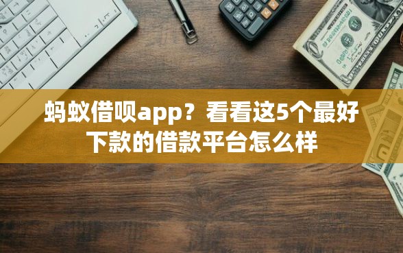 蚂蚁借呗app？看看这5个最好下款的借款平台怎么样
