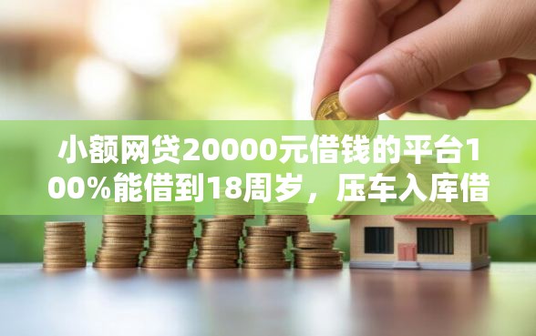 小额网贷20000元借钱的平台100%能借到18周岁，压车入库借钱的5个平台介绍