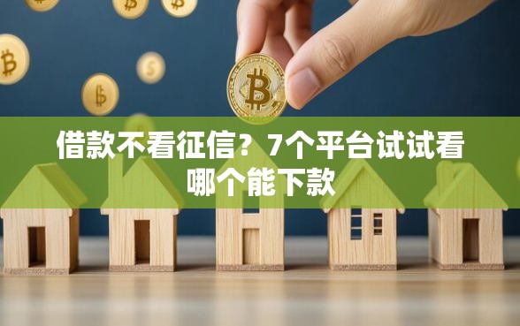 借款不看征信？7个平台试试看哪个能下款