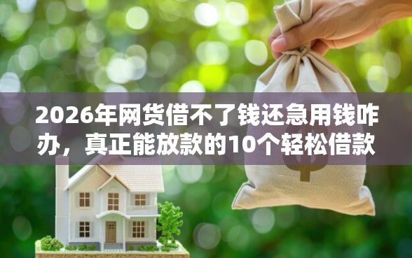 2026年网货借不了钱还急用钱咋办，真正能放款的10个轻松借款无征信记录的平台推荐
