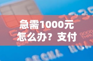 急需1000元怎么办？支付宝信用签是借钱吗试试这7个无门槛平台