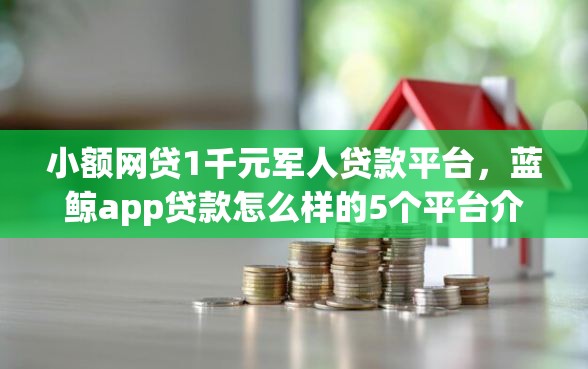 小额网贷1千元军人贷款平台，蓝鲸app贷款怎么样的5个平台介绍
