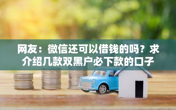 网友：微信还可以借钱的吗？求介绍几款双黑户必下款的口子
