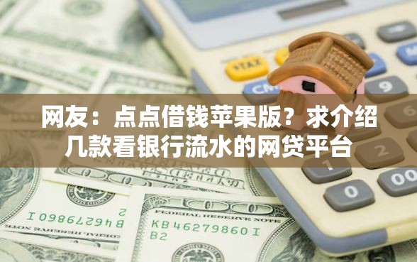网友：点点借钱苹果版？求介绍几款看银行流水的网贷平台