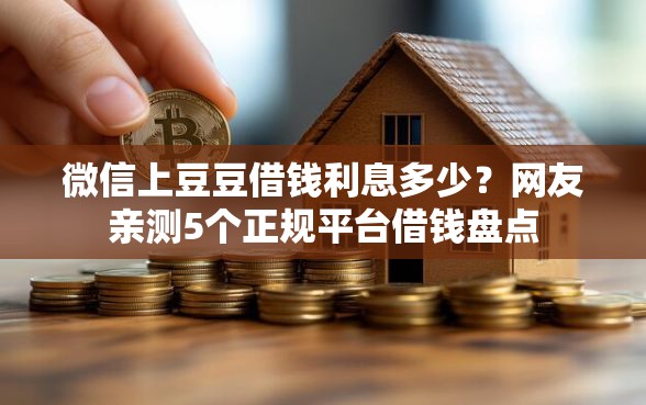 微信上豆豆借钱利息多少？网友亲测5个正规平台借钱盘点