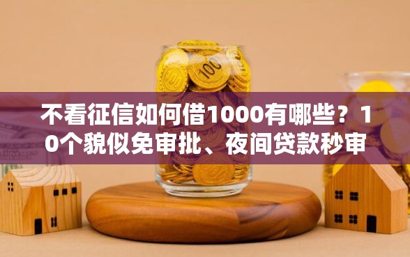不看征信如何借1000有哪些？10个貌似免审批、夜间贷款秒审核秒下款的平台合集