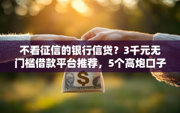 不看征信的银行信贷？3千元无门槛借款平台推荐，5个高炮口子秒下款盘点