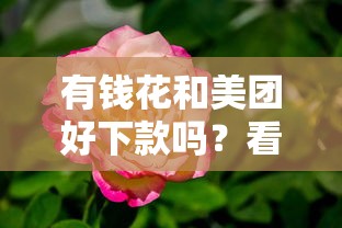 有钱花和美团好下款吗？看看这5个正规平台借钱怎么样