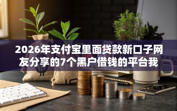 2026年支付宝里面贷款新口子网友分享的7个黑户借钱的平台我觉得不错！