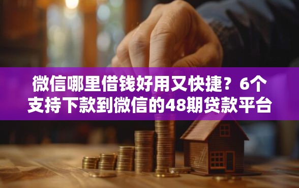 微信哪里借钱好用又快捷？6个支持下款到微信的48期贷款平台