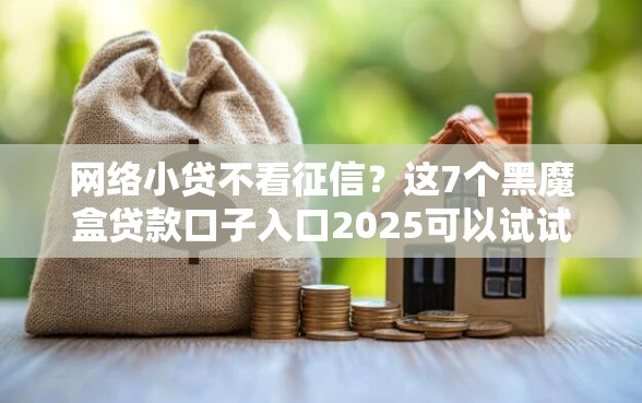 网络小贷不看征信？这7个黑魔盒贷款口子入口2025可以试试