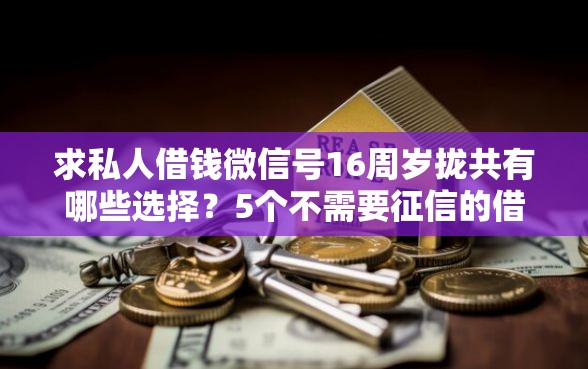求私人借钱微信号16周岁拢共有哪些选择？5个不需要征信的借款平台详解