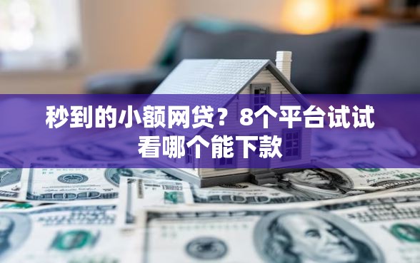 秒到的小额网贷？8个平台试试看哪个能下款