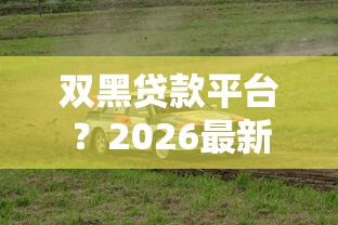 双黑贷款平台？2026最新测评10个汽车网贷平台