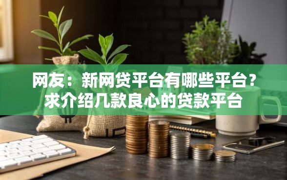 网友:新网贷平台有哪些平台?求介绍几款良心的贷款平台 网友:新网贷平台有哪些平台?求介绍几款良心的贷款平台