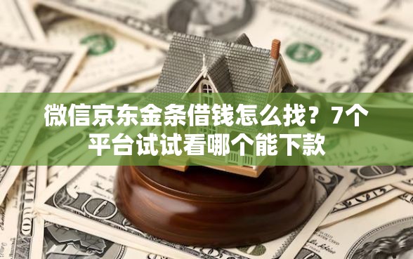 微信京东金条借钱怎么找？7个平台试试看哪个能下款