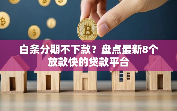 白条分期不下款？盘点最新8个放款快的贷款平台