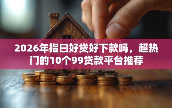 2026年指曰好贷好下款吗，超热门的10个99贷款平台推荐
