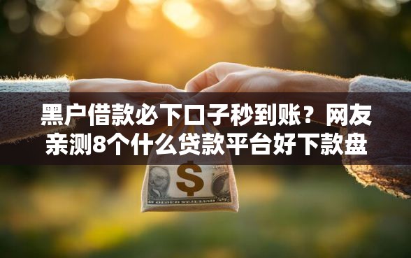 黑户借款必下口子秒到账？网友亲测8个什么贷款平台好下款盘点