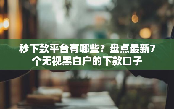 秒下款平台有哪些？盘点最新7个无视黑白户的下款口子