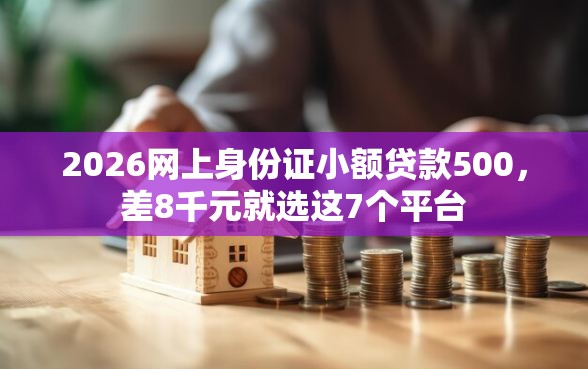 2026网上身份证小额贷款500，差8千元就选这7个平台