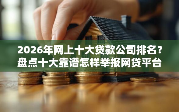 2026年网上十大贷款公司排名？盘点十大靠谱怎样举报网贷平台