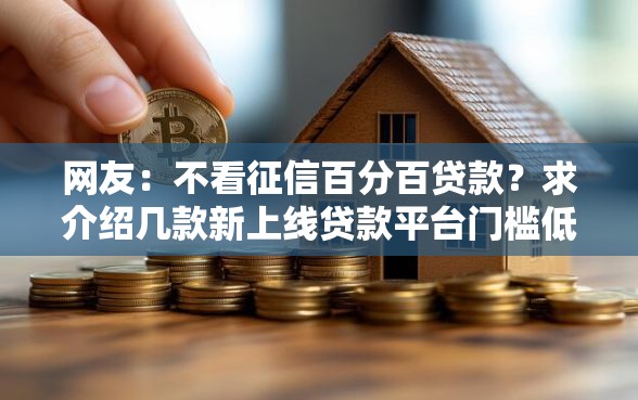 网友：不看征信百分百贷款？求介绍几款新上线贷款平台门槛低平台