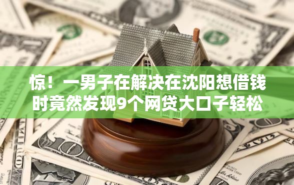 惊！一男子在解决在沈阳想借钱时竟然发现9个网贷大口子轻松借口子，事后分享了出来