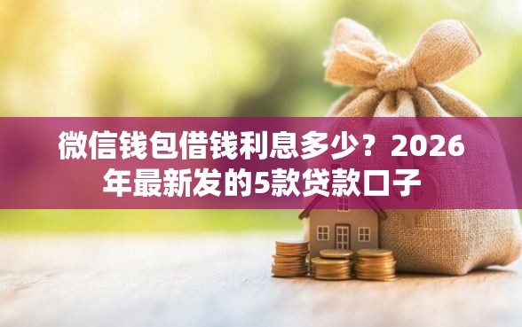 微信钱包借钱利息多少？2026年最新发的5款贷款口子