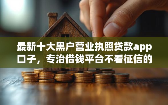 最新十大黑户营业执照贷款app口子，专治借钱平台不看征信的