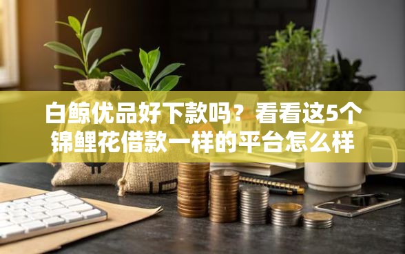 白鲸优品好下款吗？看看这5个锦鲤花借款一样的平台怎么样