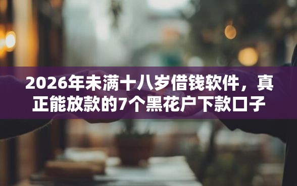 2026年未满十八岁借钱软件，真正能放款的7个黑花户下款口子推荐