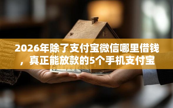 2026年除了支付宝微信哪里借钱，真正能放款的5个手机支付宝小额贷款的平台推荐