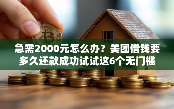 急需2000元怎么办？美团借钱要多久还款成功试试这6个无门槛平台