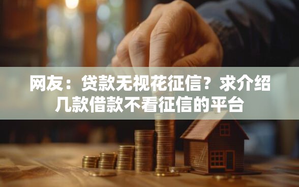 网友：贷款无视花征信？求介绍几款借款不看征信的平台