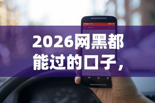 2026网黑都能过的口子，差2000元就选这5个平台