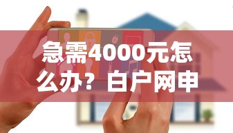 急需4000元怎么办？白户网申白麒麟被拒试试这5个无门槛平台