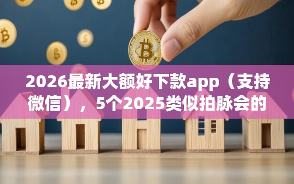 2026最新大额好下款app（支持微信），5个2025类似拍脉会的口子无私分享
