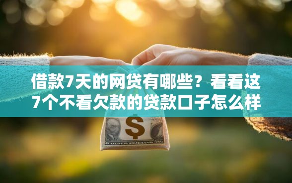 借款7天的网贷有哪些？看看这7个不看欠款的贷款口子怎么样