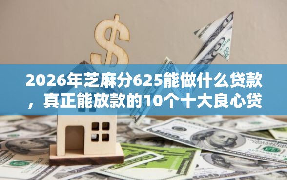 2026年芝麻分625能做什么贷款，真正能放款的10个十大良心贷款平台推荐