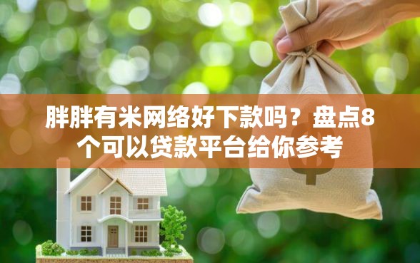 胖胖有米网络好下款吗？盘点8个可以贷款平台给你参考