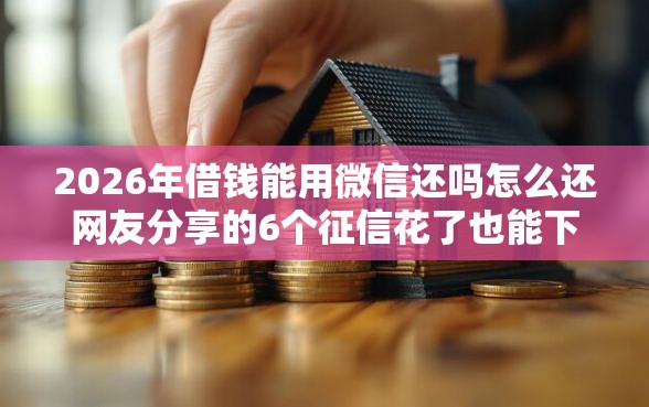 2026年借钱能用微信还吗怎么还网友分享的6个征信花了也能下款的平台我觉得不错！