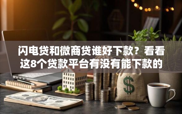 闪电贷和微商贷谁好下款？看看这8个贷款平台有没有能下款的
