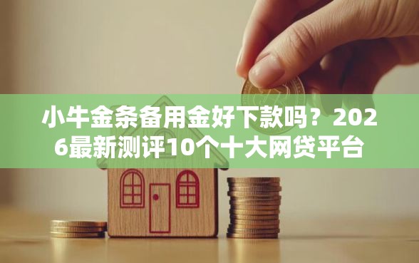 小牛金条备用金好下款吗？2026最新测评10个十大网贷平台